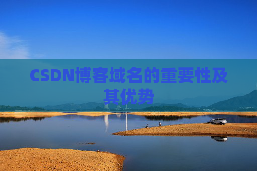 CSDN博客域名的重要性及其优势 CSDN博客域名的重要性及其优势